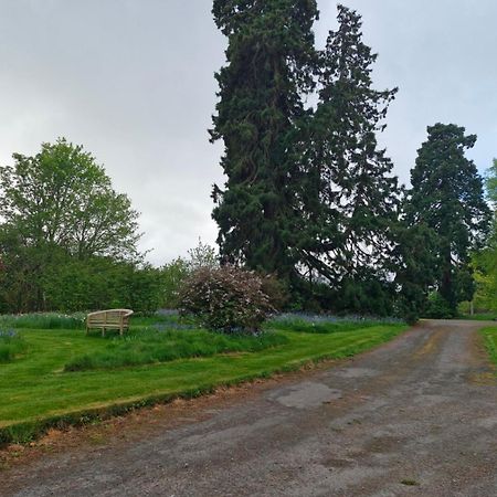 The Bungalow - Ardullie Lodge Dingwall Buitenkant foto