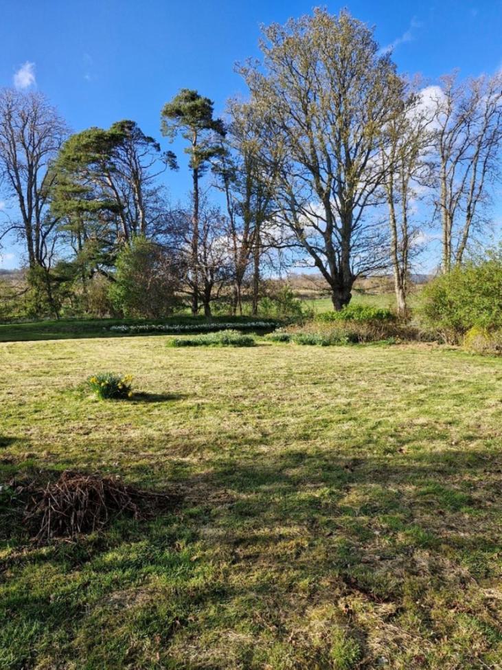 The Bungalow - Ardullie Lodge Dingwall Buitenkant foto