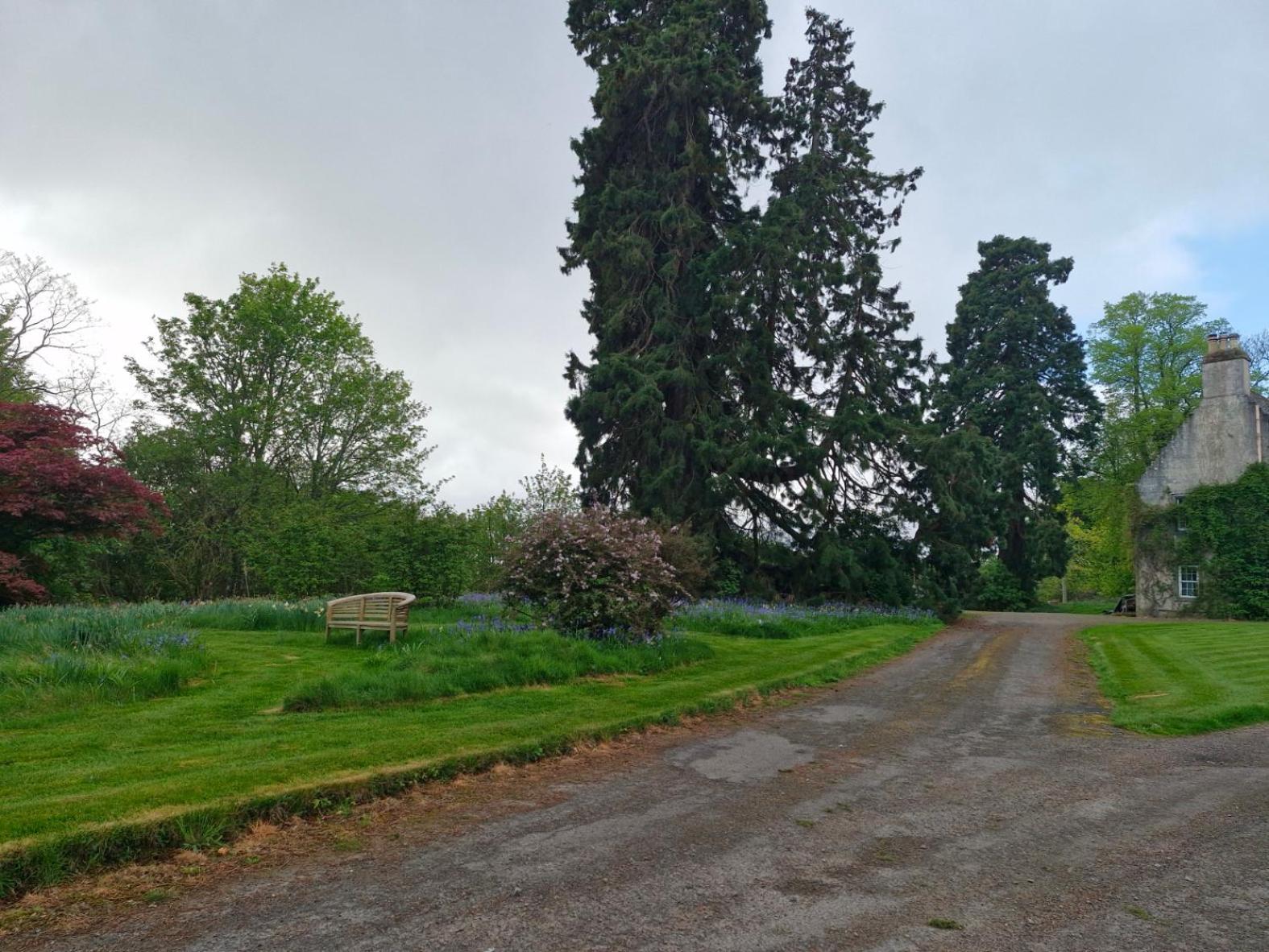The Bungalow - Ardullie Lodge Dingwall Buitenkant foto